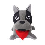 5242_1_CACHORRO-LUI-CINZA